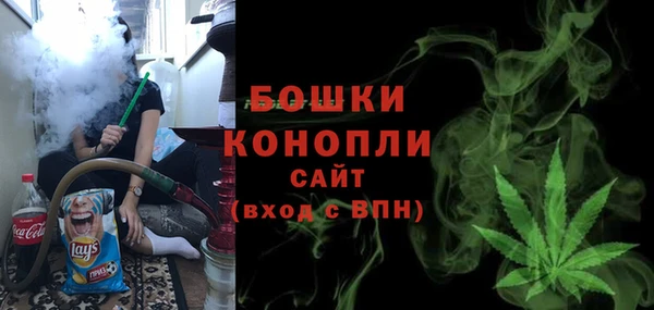 кокс Ельня
