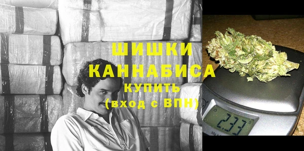 амф Елабуга