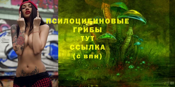 дмт Заволжск