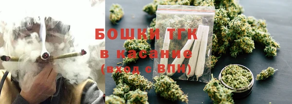 кокс Ельня
