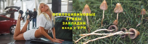кристаллы Заволжье