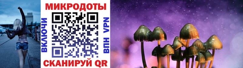 Купить закладки  Темников  Псилоцибиновые грибы мицелий 
