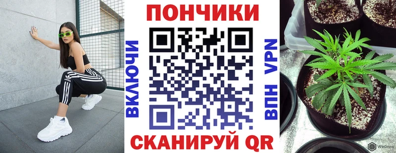 МАРИХУАНА VHQ  Купить  Темников 